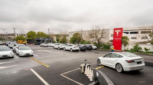 特斯拉2月国内新能源车销量3958辆夺魁，集中式快速充电站成行业新焦点